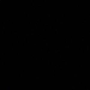 Meet your Posher, Zaria